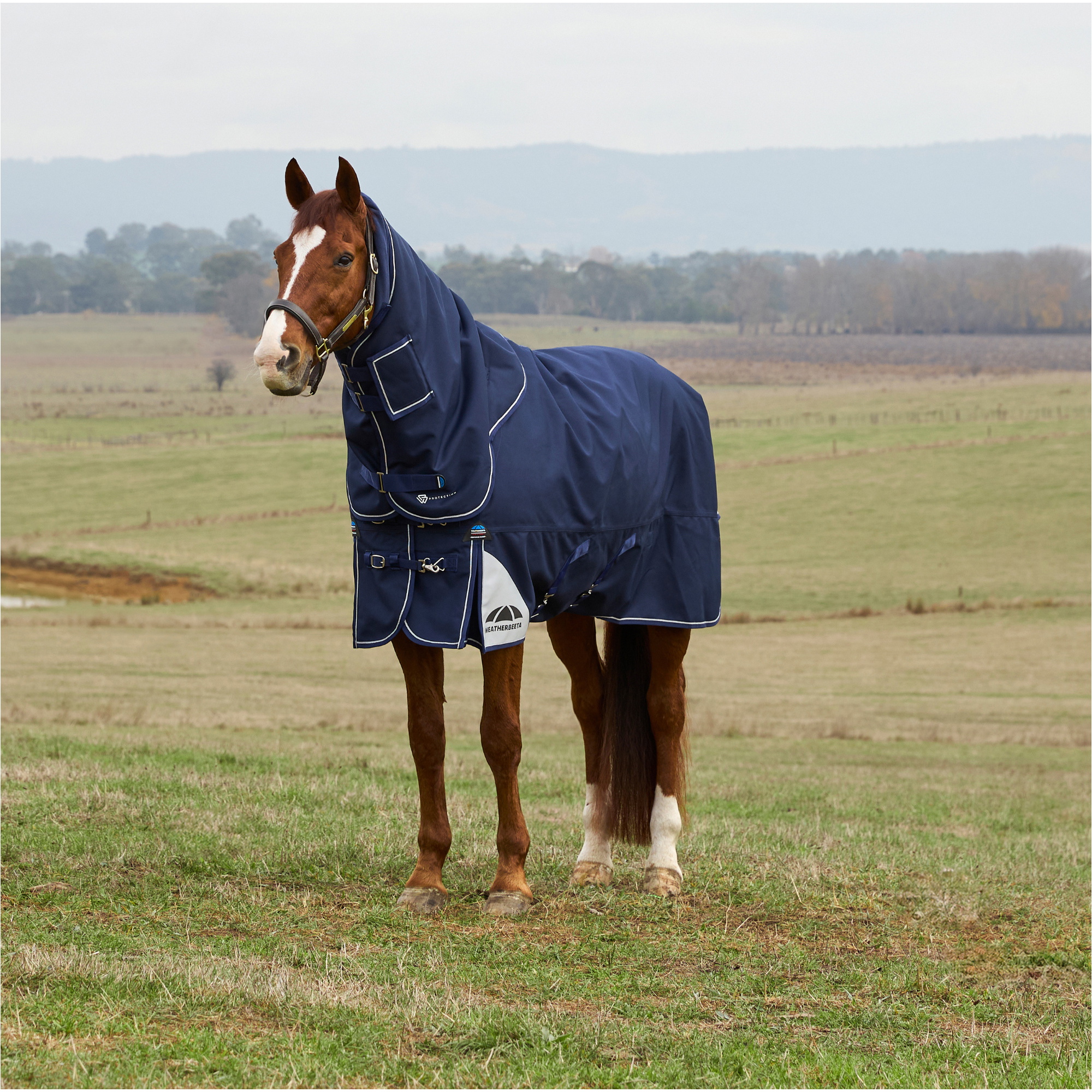 2025 Weatherbeeta Comfitec Ultra Turnout Detach-A-Neck 1028772 - Navy